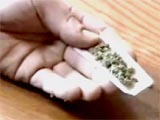 Marijuana Abuse Facts